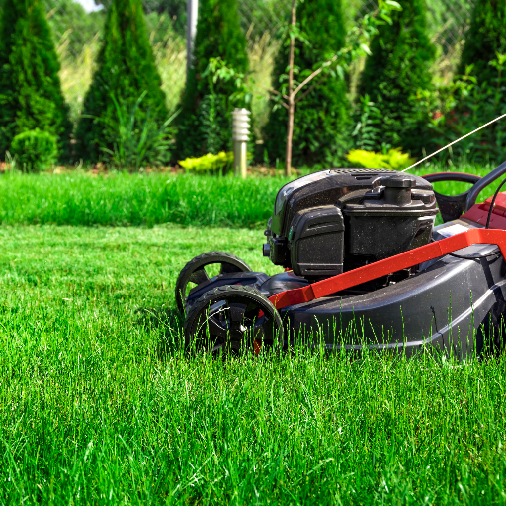 red and black lawnmower sits on tall green grass