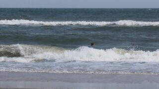 the beach with waves